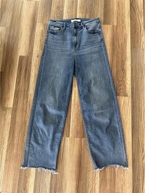 Hidden Jeans High Rise Wide Leg Light Wash Raw Hem Size 29